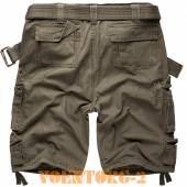 ����� Division Surplus | ���� Olive